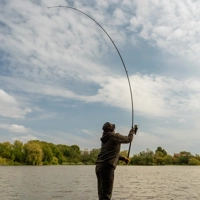 OMC Black Pearl Carp Rods